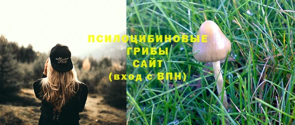 мет Баксан